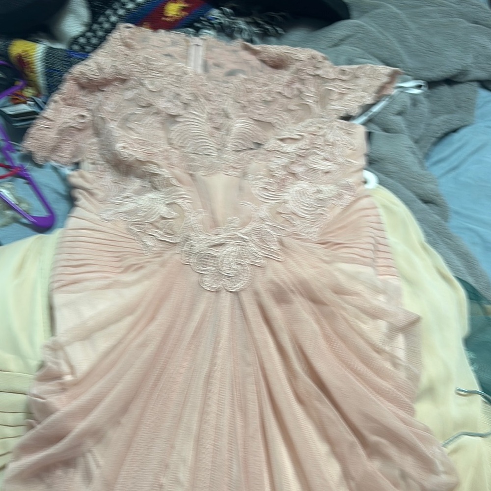 Elegant Lace Dress in Blush Pink